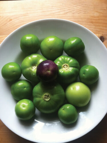 Tons of Tomatillos